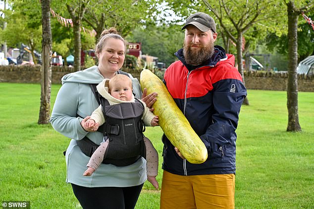 This year, 32-year-old Tom Bailey hopes to have achieved the giant cucumber record, saying he narrowly beat last year's record by 600 grams (1.3 lbs).