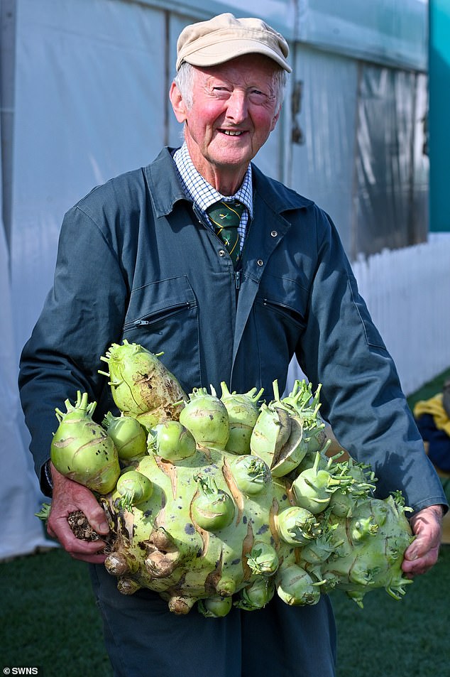 Many of the vegetables are the size of a child, measuring just over a meter in length and weighing several kilos