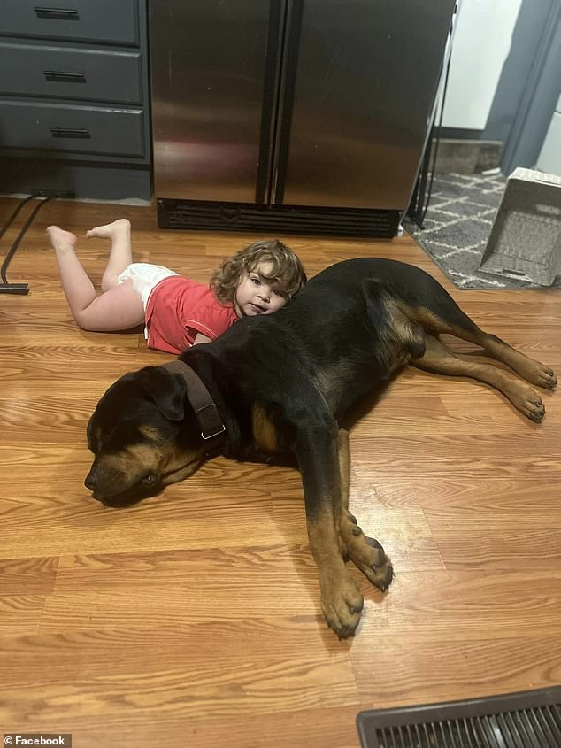 Brooke, who has previously shared photos of Thea lying on their family's Rottweiler Buddy at home, said she is 'still in shock' after the ordeal.  It is not clear whether Thea was missing with Buddy