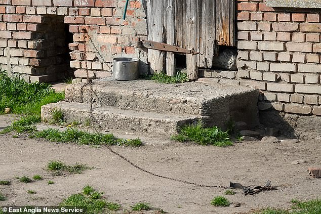 The spot where Bethowen, the St. Bernard dog, was chained next to a hole in the wall of a barn and acted as a makeshift kennel at Piotr Gierasik's home