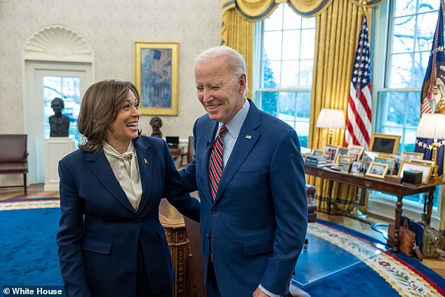 President Joe Biden has put Vice President Harris in charge on a number of politically charged issues, including gun violence, voting rights and migration