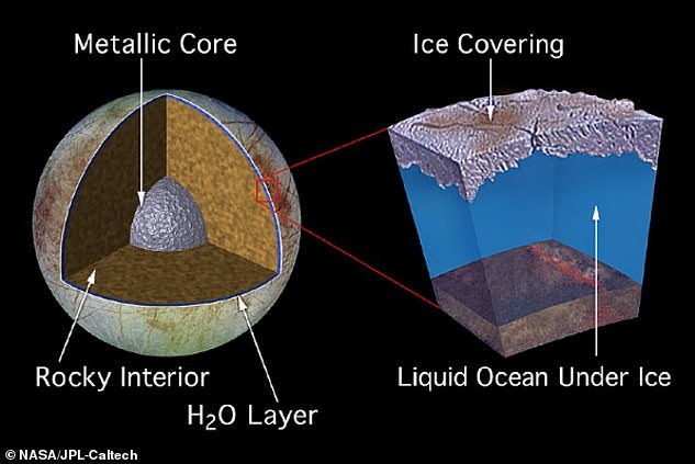 Scientists are almost certain that beneath Europa's icy surface lies a saltwater ocean with about twice as much water as Earth's global ocean.  Image shows a possible model of Europe