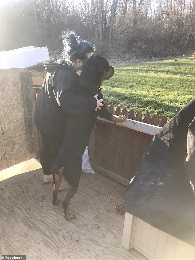 A photo of Brooke and Buddy shows the size of the large Rottweiler the family has had since he was a puppy