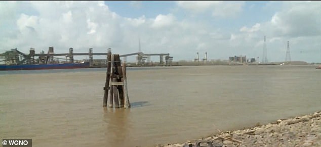 The wedge was the result of historically low rainfall at the base of the Mississippi.  Freshwater typically flows downstream to push back saltwater from the Gulf of Mexico, but the lack of freshwater has disrupted this system