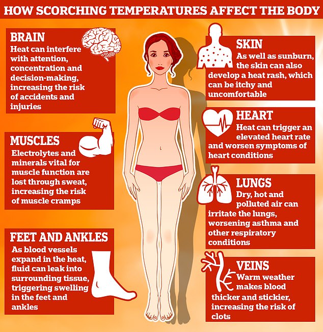 Muscle cramps may also become more common due to dehydration, as electrolytes and minerals essential for muscle function are lost through sweat.  In hot weather, some parts of the body, such as the hands, feet and ankles, may also swell.  Heat causes blood vessels to expand, allowing fluid to leak into surrounding tissues, causing swelling known as heat edema