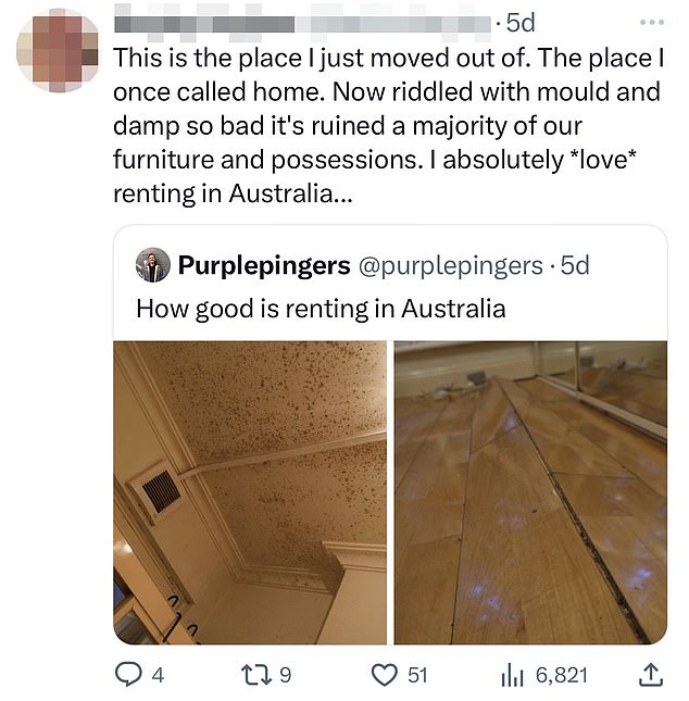 Mr Van den Berg's social media channels, where he is known as purplepingers, are dedicated to highlighting the poor living conditions tenants face