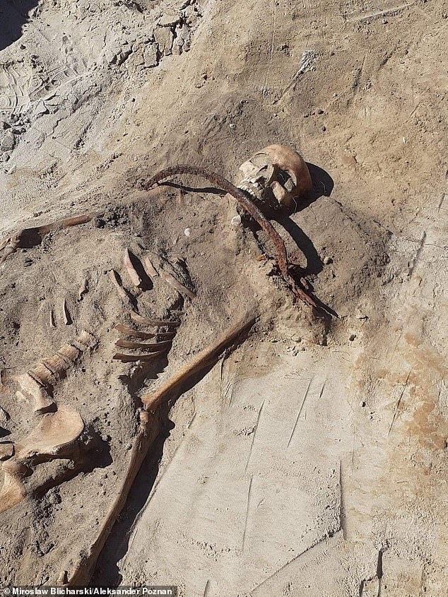 The remains of a 'female vampire' who was padlocked to the ground with a sickle on her throat and a toe to 'prevent her from returning from the dead' have been found in a village in Poland