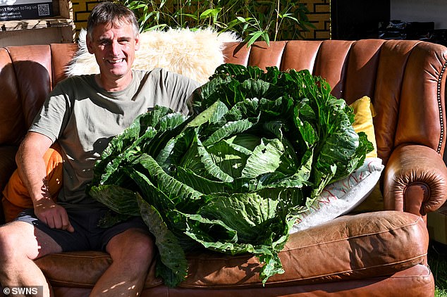 Thousands of people are expected to flock to the Worcestershire city this weekend to catch a glimpse of its giant greens