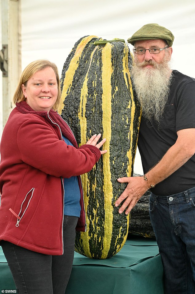 Records are expected to be broken every year, with this year being no exception as judges from the National Vegetable Association inspect each offering.