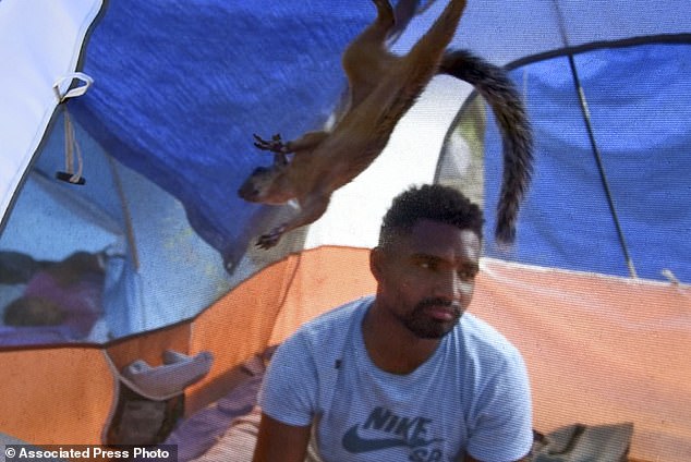 Along with thousands of migrants, the pair found themselves at a site opposite the border town of Brownsville, Texas, living in a tent