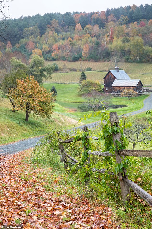 Cloudland Road and Doten's farm (pictured) have long been favorite spots for leaf peepers