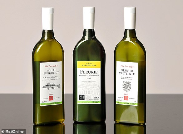 The Wine Society claims its new 'flat' wine bottles are easier to transport, reducing the company's carbon footprint, but without compromising taste.  They are made of plastic instead of glass, but does this affect the taste?  MailOnline finds out