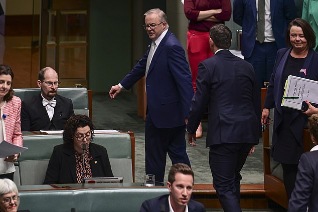 Mr Chandler-Mather gained attention in Parliament this year for challenging Prime Minister Anthony Albanese on Labour's housing policy (pictured, Mr Albanese glaring at Mr Chandler-Mather, bottom centre)