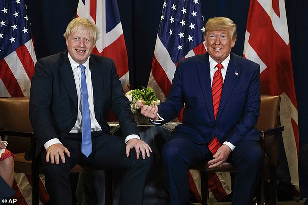 President Donald Trump meets British Prime Minister Boris Johnson during the United Nations General Assembly in New York, Tuesday, September 24, 2019