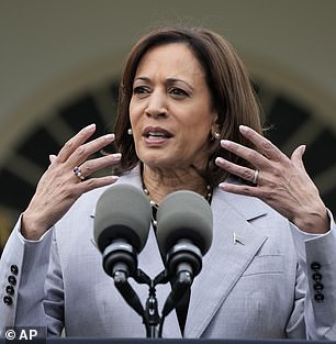 Vice President Kamala Harris is often seen as Biden's heir apparent