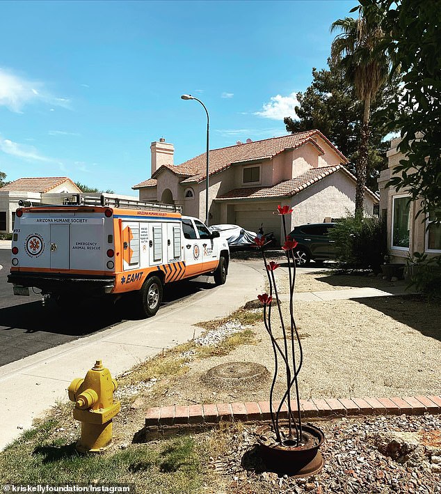 This is April Addison's home where 55 dogs were removed from the property