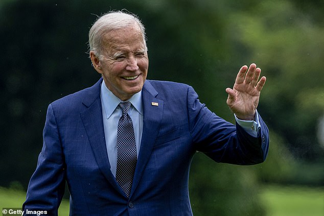 Lord Haag said Joe Biden, at 80, would probably 'best help' efforts to prevent Trump from returning as US president by 'stepping aside' in 2024