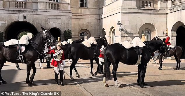 After the horse lifts its hind legs and kicks at the guard, it takes a few steps back before quickly recovering