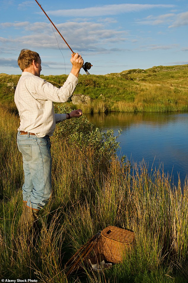 Experts believe the benefits come from the physical exertion involved in catching fish, but also from regular exposure to so-called 'blue space' – such as rivers and lakes – which has been shown to boost psychological well-being.  Pictured: A man fishing for trout in North Wales