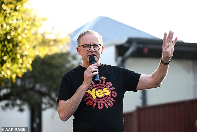 The latest Newspoll shows support for 'Yes' at 36 percent, down 2 points in three weeks, while 'No' has risen to 56 percent, up 3 points from the previous poll, marking the lowest support and marks the highest level of opposition to date (pictured, Anthony Albanese speaking at a Yes rally)