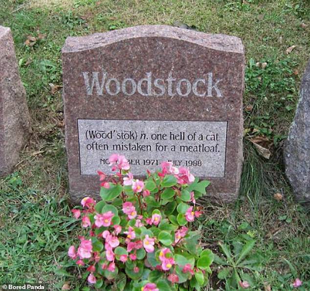 Some people, who have buried or cremated their beloved pets, have sent them to the afterlife with a touch of humor - like Woodstock the cat, who will be terribly missed, especially if their owner eats meatloaf