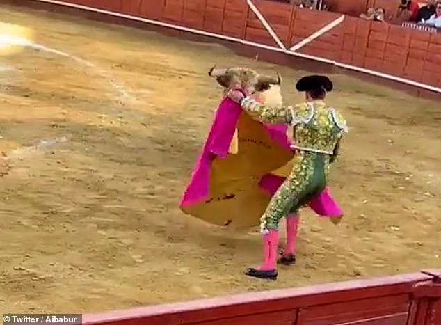 In August, a matador was stabbed in the rectum and thrown into the air like a rag doll during a traditional bullfight in Spain