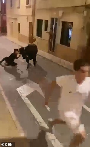 This came just a few days later.  A shocking video shows a Spanish teenager being gored by a rampaging bull during a similar event in Castalla, Alicante province.