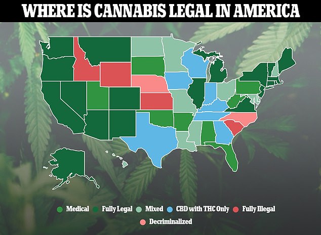 The above shows cannabis use in US states.  Twenty-one states and DC have legalized it for recreational use in addition to medicinal use, while almost all states now allow it to be used for medicinal purposes