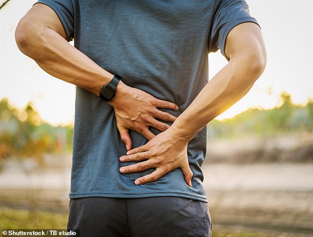 Eight in ten Britons will suffer from back problems at some point in their lives, with hernia being the main cause (Stock Image)