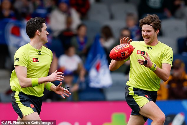 There have been increasing calls to give referees access to statistics before they vote, or to strip them of the right to vote entirely after a series of Brownlow clashes