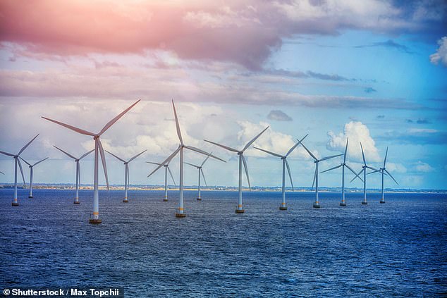 An offshore wind farm.  Former President Donald Trump has long complained about wind energy, making previous unfounded claims, such as that the sound of windmills causes cancer