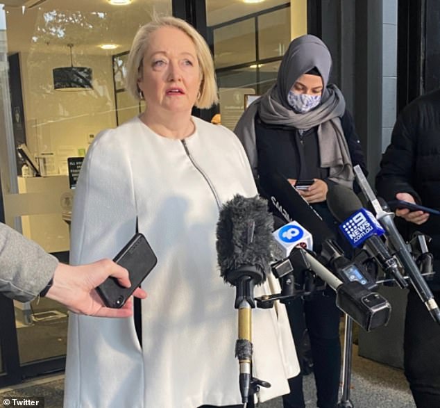 Victorian Liberal MP Louise Staley asked a long list of questions about Mr Andrews' accident and the events leading up to it in 2022