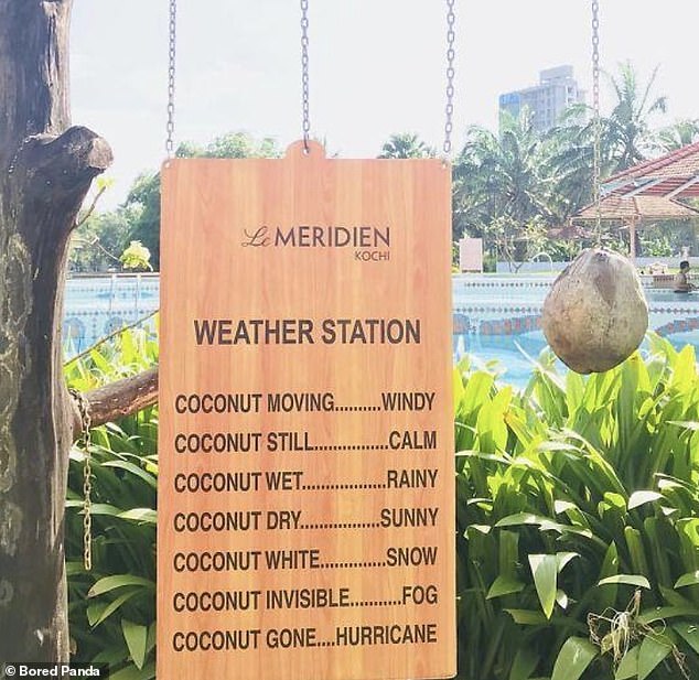 The Le Méridien Hotel in Kochi, India, created a funny 'weather station' using only a coconut