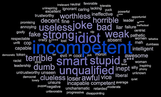 James Johnson, co-founder of JL Partners, said voters' views of Harris produced one of the most brutal word clouds of his career, with words like 