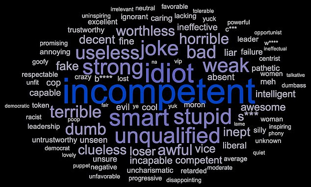 James Johnson, co-founder of JL Partners, said voters' views of Harris produced one of the most brutal word clouds of his career, with words like 