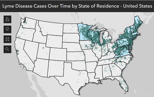 The above map shows where most cases are reported, showing that the disease is most prevalent in the northeastern states