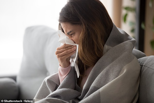 HMPV usually causes a mild infection similar to a cold, with symptoms such as nasal congestion, coughing, shortness of breath and fever.  But complications can lead to bronchitis or pneumonia and can be fatal (stock image)