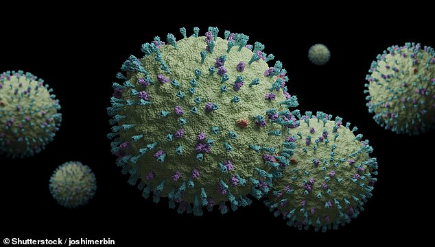 Human metapneumovirus (pictured) can cause upper and lower respiratory tract illness in all age groups, but poses a greater danger to young children, older adults, and people with weakened immune systems