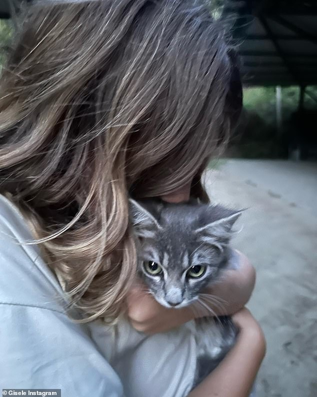 Cats also need love: at the family photo carousel the pet received a hug