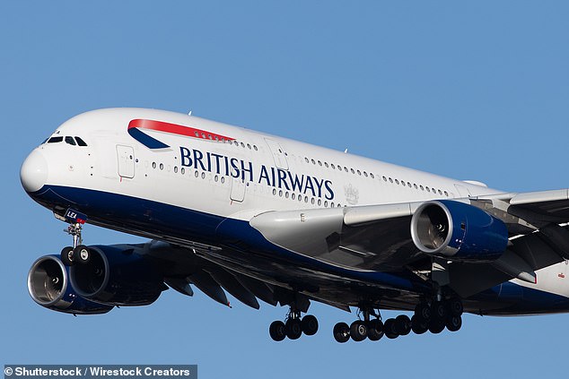 British Airways was forced to postpone its flight from South Africa to Britain for 24 hours while it found a replacement for him