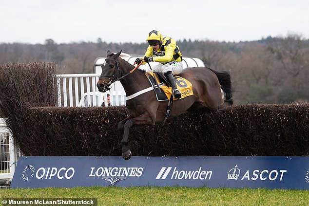 Champion trainer Nicky Henderson revealed Shishkin (above) spent a month with Zara Tindall in dressage to build core strength