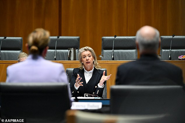 Ms Hudson was slammed by the chair of the transport inquiry, Nationals senator Bridget McKenzie (pictured), for being unwilling to answer questions about the Yes campaign logos painted on the side of Qantas jets on Wednesday.