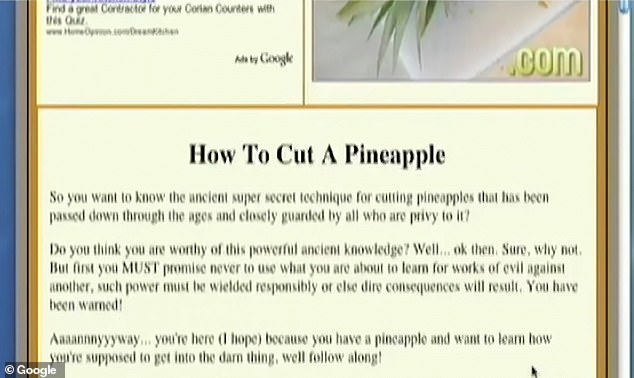 Search Google 'how to cut a pineapple' in 1998 and you might get a few websites