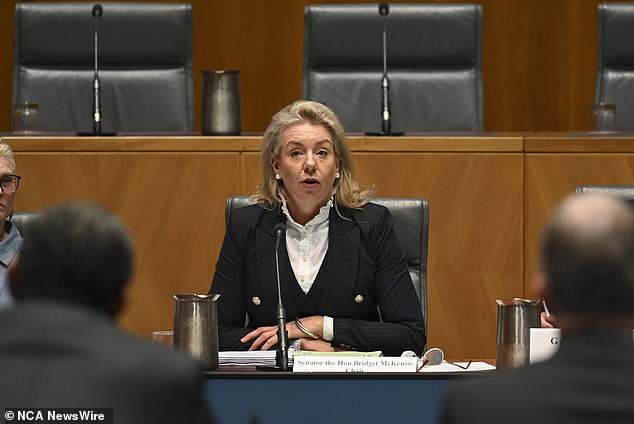 Senator Bridget McKenzie asked Qantas CEO Vanessa Hudson whether support for the Indigenous Voice 'Yes' campaign was 'quid pro quo' as she was protected from a competitor on Wednesday