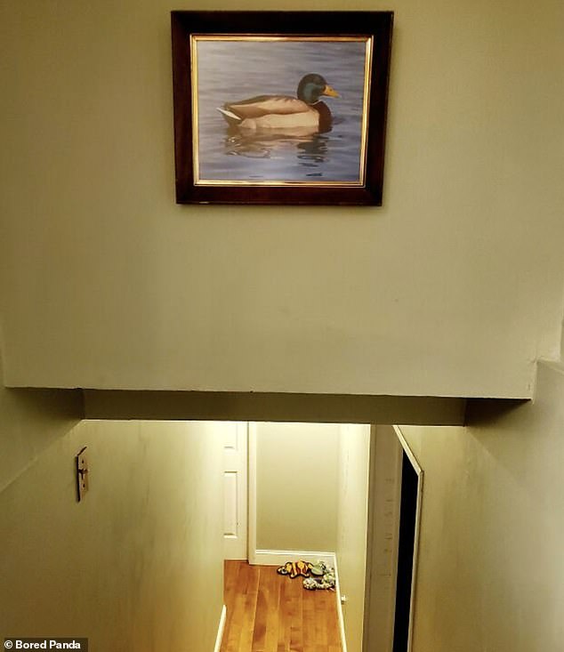 Lighthearted good idea!  When guests kept hitting their heads while walking down the stairs, the homeowners decided to hang a picture of a duck as a warning