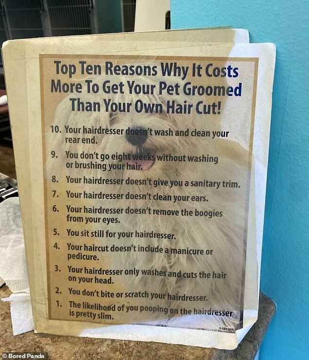 Dog is tired of all the questions!  A grooming salon clearly got sick of dog owners wondering why grooming costs more than their own hair