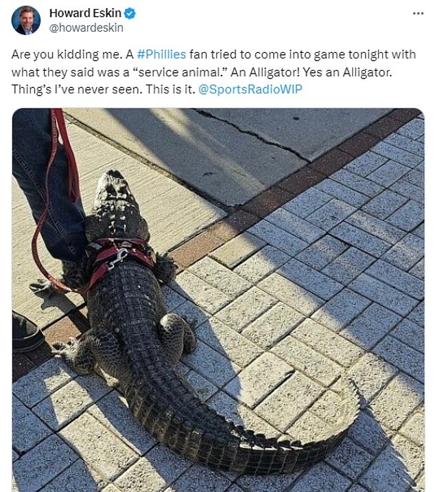 The alligator caused a predictable frenzy on social media with users asking the Phillies to let Wally in