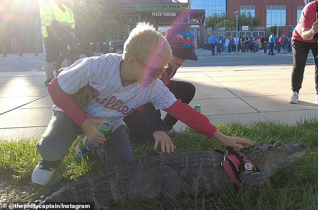 Phillies fans were amazed by Wally on Wednesday and gave him a pat on the back