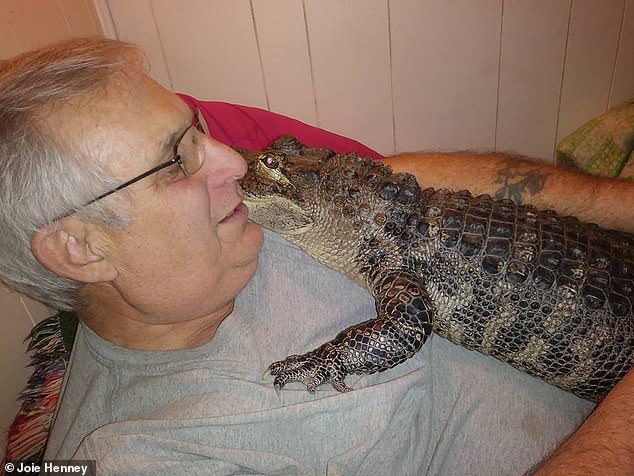 Henney registered his alligator, Wally, as an emotional support pet in December 2018.  Henney compares Wally to a dog and says the alligator just wants to be 