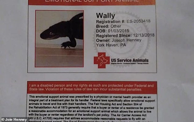 Henney said he originally wanted to see if he could register Wally as a service animal after discovering his calming effect on people with developmental issues, but decided to register him as an emotional support animal. 